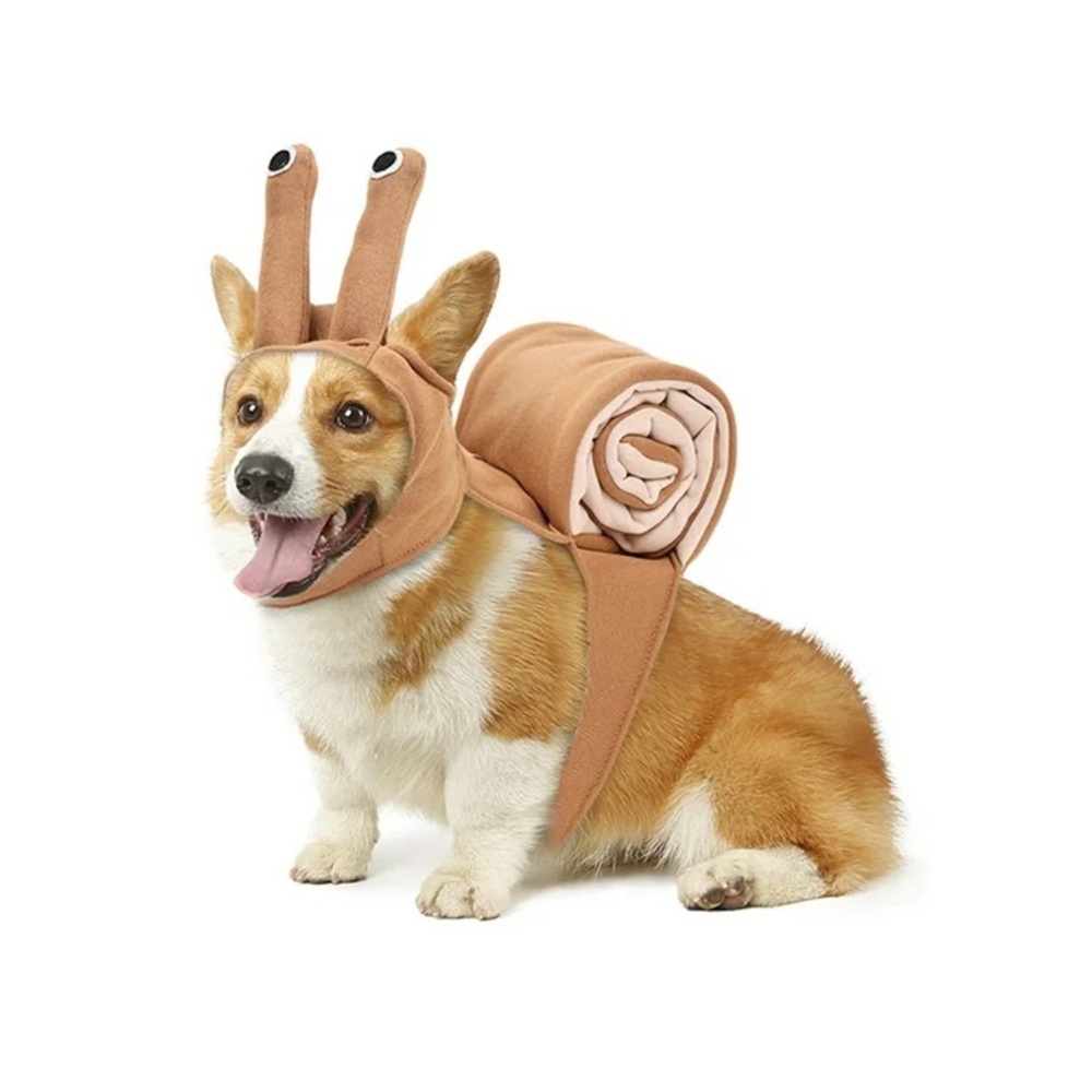 Snail Dog Costume in Brown